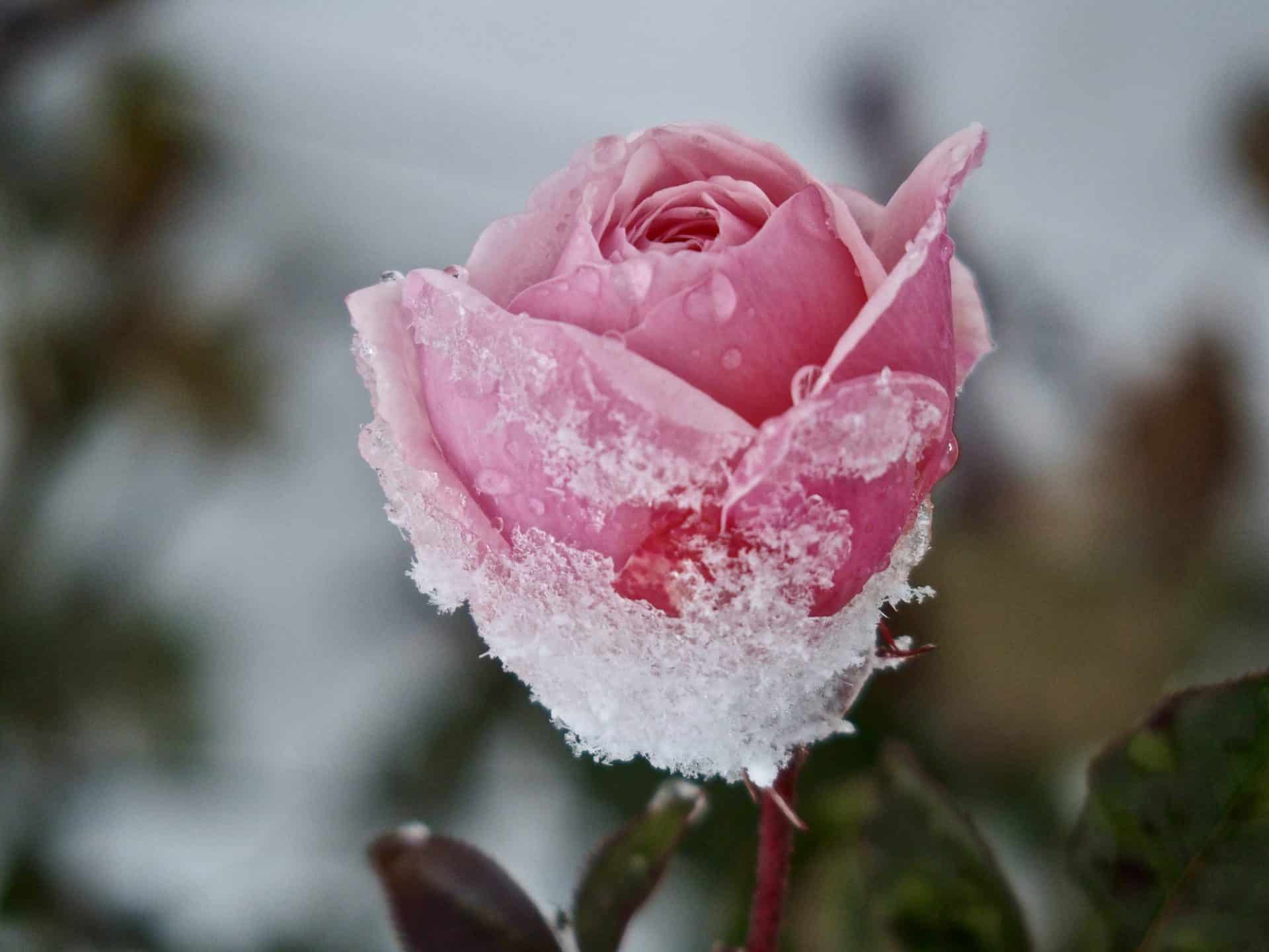 Μαθήματα Θαυμάτων Videos